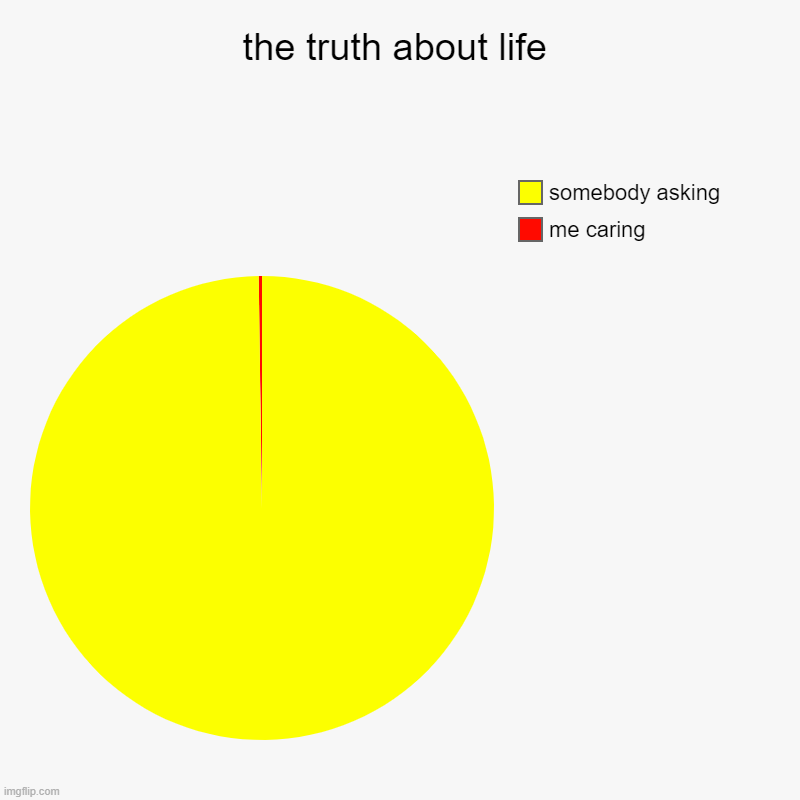 the truth about life | me caring, somebody asking | image tagged in charts,pie charts | made w/ Imgflip chart maker