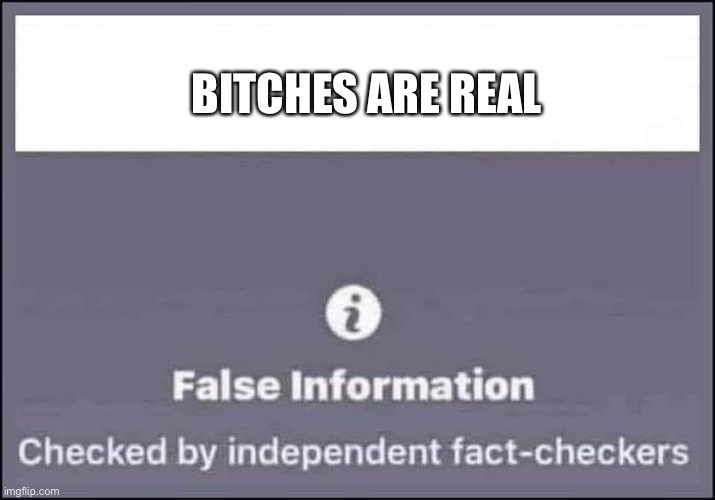 false information checked by independent fact-checkers | BITCHES ARE REAL | image tagged in false information checked by independent fact-checkers | made w/ Imgflip meme maker