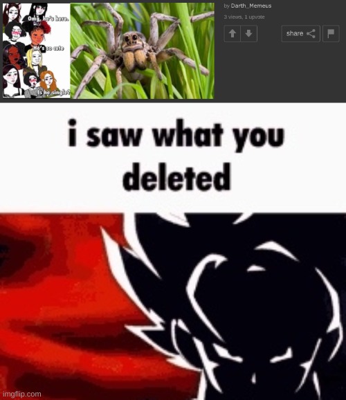 image tagged in i saw what you deleted | made w/ Imgflip meme maker