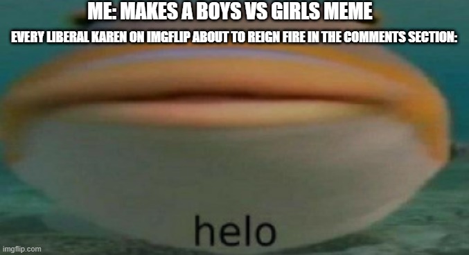 helo | ME: MAKES A BOYS VS GIRLS MEME; EVERY LIBERAL KAREN ON IMGFLIP ABOUT TO REIGN FIRE IN THE COMMENTS SECTION: | image tagged in helo,karens,memes,funny,boys vs girls,triggered liberal | made w/ Imgflip meme maker