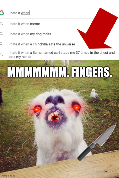 What | MMMMMMM. FINGERS. | image tagged in irony llama,stab | made w/ Imgflip meme maker