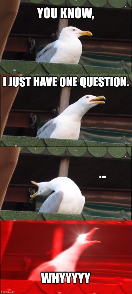 why | YOU KNOW, I JUST HAVE ONE QUESTION. ... WHYYYYY | image tagged in memes,inhaling seagull | made w/ Imgflip meme maker