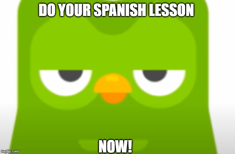 Duolingo | DO YOUR SPANISH LESSON; NOW! | image tagged in duolingo | made w/ Imgflip meme maker