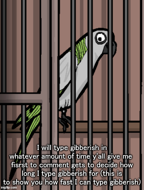 Bird on crack | I will type gibberish in whatever amount of time y'all give me 
fisrst to comment gets to decide how long I type gibberish for (this is to show you how fast I can type gibberish) | image tagged in bird on crack | made w/ Imgflip meme maker