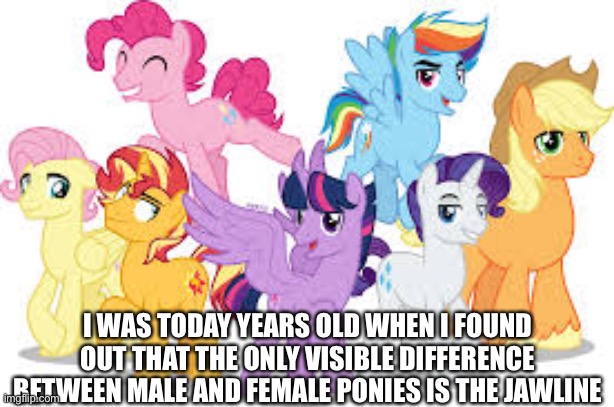 In case you were wondering, no, I didn’t draw these, how dare you assume I can draw well. | I WAS TODAY YEARS OLD WHEN I FOUND OUT THAT THE ONLY VISIBLE DIFFERENCE BETWEEN MALE AND FEMALE PONIES IS THE JAWLINE | image tagged in my little pony,mlp,male,female,pony,my little pony friendship is magic | made w/ Imgflip meme maker