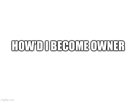 Blank White Template | HOW’D I BECOME OWNER | image tagged in blank white template | made w/ Imgflip meme maker
