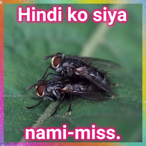 Affirmation: Di ko siya miss | Hindi ko siya; nami-miss. | image tagged in affirmation,ex-girlfriend | made w/ Imgflip meme maker