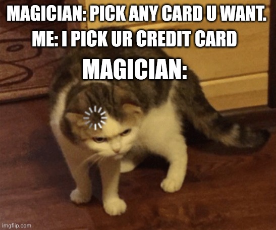 Lag Cat | MAGICIAN: PICK ANY CARD U WANT. ME: I PICK UR CREDIT CARD; MAGICIAN: | image tagged in lag cat | made w/ Imgflip meme maker