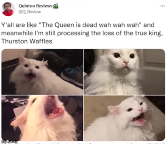 R.I.P | made w/ Imgflip meme maker