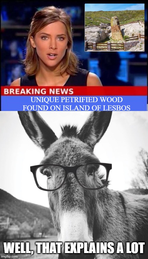 There's Your Answer | UNIQUE PETRIFIED WOOD FOUND ON ISLAND OF LESBOS; WELL, THAT EXPLAINS A LOT | image tagged in breaking news,smart ass | made w/ Imgflip meme maker