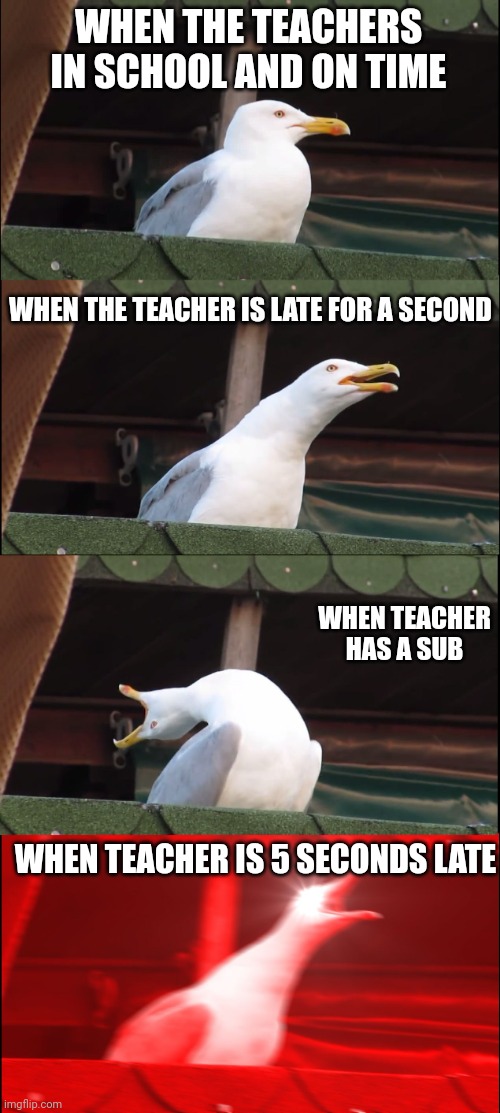 Inhaling Seagull Meme | WHEN THE TEACHERS IN SCHOOL AND ON TIME WHEN THE TEACHER IS LATE FOR A SECOND WHEN TEACHER HAS A SUB WHEN TEACHER IS 5 SECONDS LATE | image tagged in memes,inhaling seagull | made w/ Imgflip meme maker