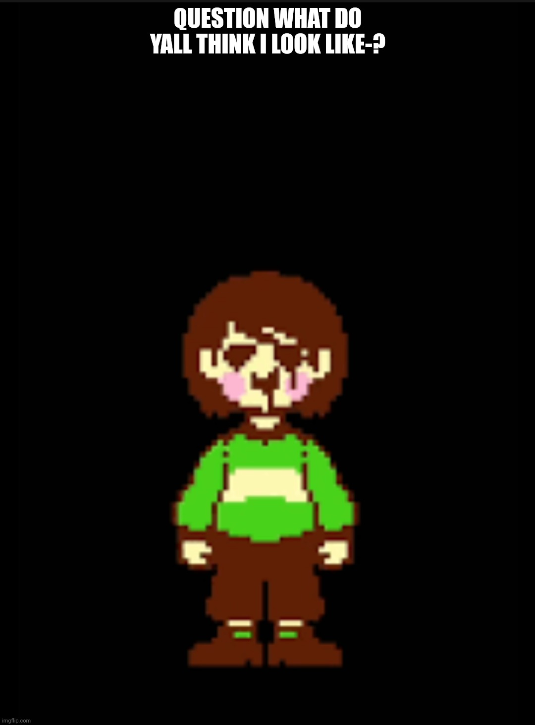 -Chara_TGM- template | QUESTION WHAT DO YALL THINK I LOOK LIKE-? | image tagged in -chara_tgm- template | made w/ Imgflip meme maker