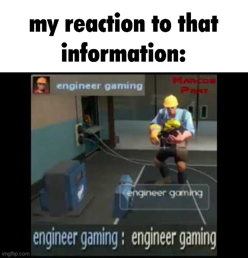 my honest and most deepest reaction | image tagged in my reaction to that information template,engineer gaming | made w/ Imgflip meme maker