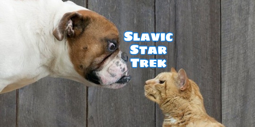 dog vs cat | Slavic
Star
Trek | image tagged in dog vs cat,slavic star trek | made w/ Imgflip meme maker