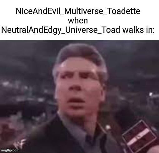 x when x walks in | NiceAndEvil_Multiverse_Toadette when NeutralAndEdgy_Universe_Toad walks in: | image tagged in memes,x when x walks in | made w/ Imgflip meme maker