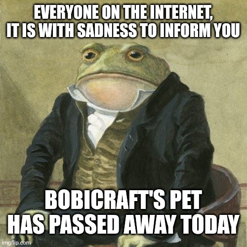 https://youtu.be/TQfXFtVHyAs | EVERYONE ON THE INTERNET, IT IS WITH SADNESS TO INFORM YOU; BOBICRAFT'S PET HAS PASSED AWAY TODAY | image tagged in gentlemen it is with great pleasure to inform you that,gentleman frog,memes,sad,minecraft,minecraft memes | made w/ Imgflip meme maker
