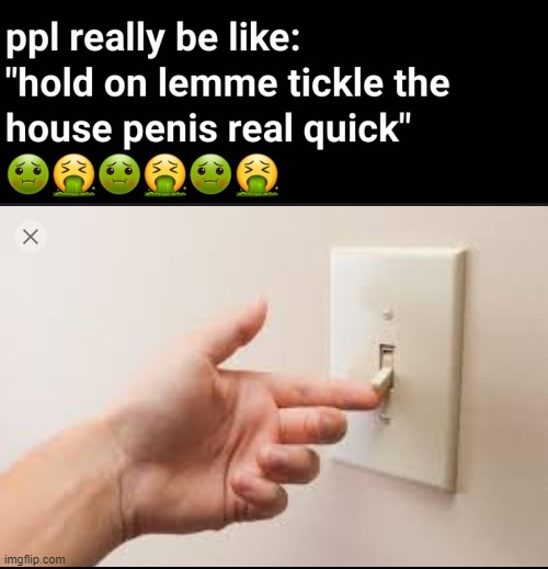 Why do American lightswitches look like little house dicks | made w/ Imgflip meme maker
