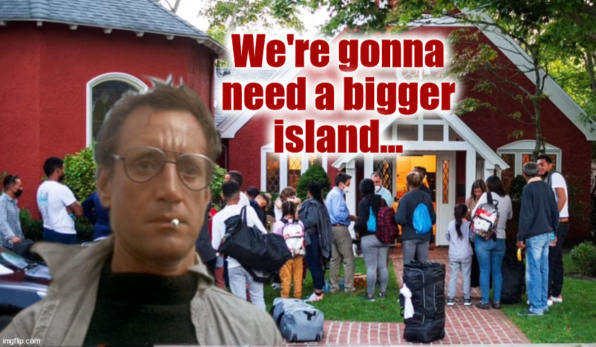 Bigger Island | We're gonna
need a bigger
island... | image tagged in martha's vineyard,jaws,immigrants,illegal | made w/ Imgflip meme maker