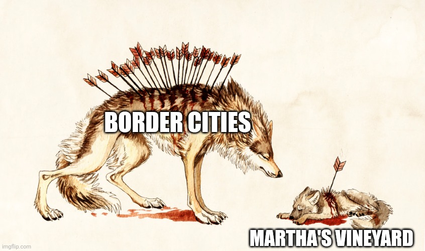 They tell us to let in million of illegals yet can't handle 50. Wusses. | BORDER CITIES; MARTHA'S VINEYARD | image tagged in arrow wolf,democrats,illegal immigration,memes,liberal hypocrisy,double standards | made w/ Imgflip meme maker