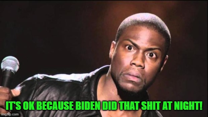 kevin heart idiot | IT'S OK BECAUSE BIDEN DID THAT SHIT AT NIGHT! | image tagged in kevin heart idiot | made w/ Imgflip meme maker