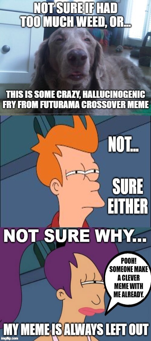 Not Sure If...(Will Save Or Delete) | image tagged in memes,high dog,futurama fry,futurama leela,funny,funny memes | made w/ Imgflip meme maker