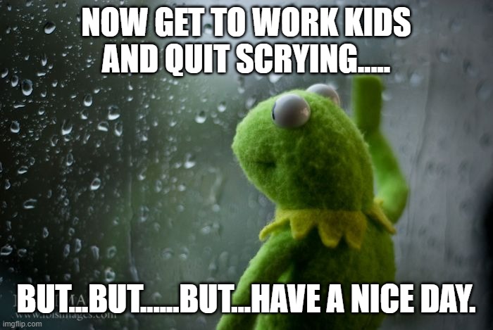 kermit window | NOW GET TO WORK KIDS AND QUIT SCRYING..... BUT...BUT......BUT...HAVE A NICE DAY. | image tagged in kermit window | made w/ Imgflip meme maker
