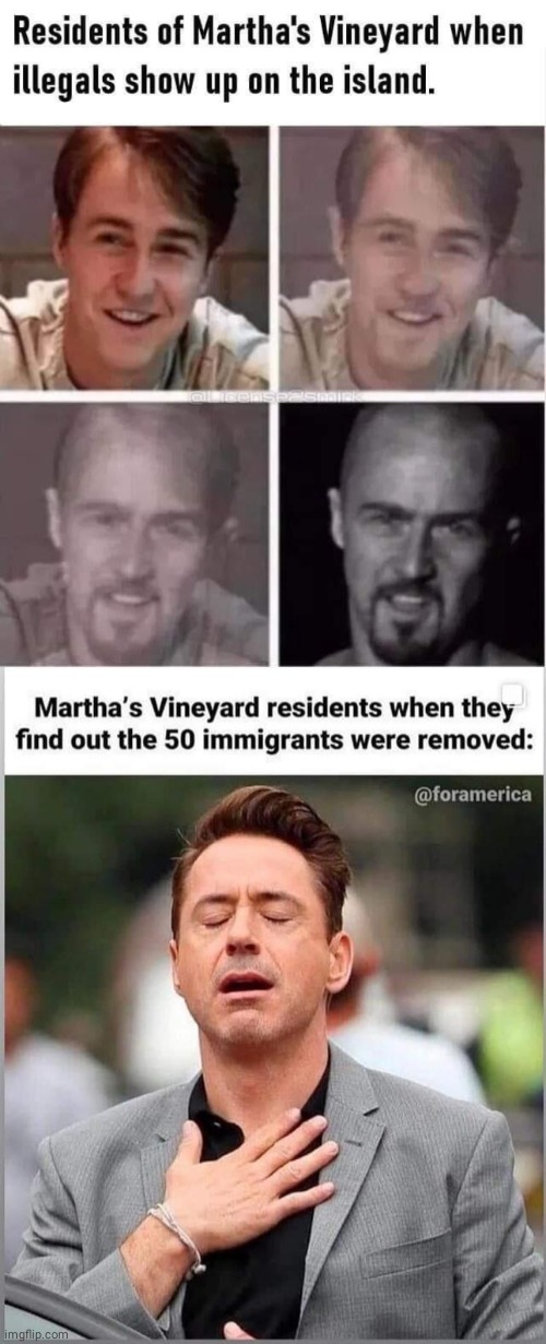 Martha's Vinyard Yuppies go Hardcore | image tagged in illegal immigration | made w/ Imgflip meme maker