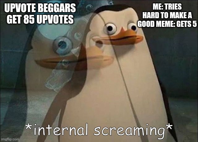 Legit | ME: TRIES HARD TO MAKE A GOOD MEME: GETS 5; UPVOTE BEGGARS GET 85 UPVOTES | image tagged in private internal screaming,upvote begging | made w/ Imgflip meme maker