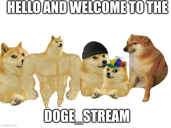 Hello To The Doge_Stream Plz Join | HELLO AND WELCOME TO THE; DOGE_STREAM | image tagged in blank white template,doge_stream | made w/ Imgflip meme maker