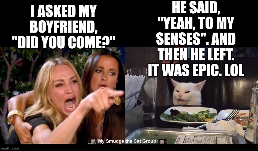 HE SAID, "YEAH, TO MY SENSES". AND THEN HE LEFT. IT WAS EPIC. LOL; I ASKED MY BOYFRIEND, "DID YOU COME?" | image tagged in smudge the cat | made w/ Imgflip meme maker