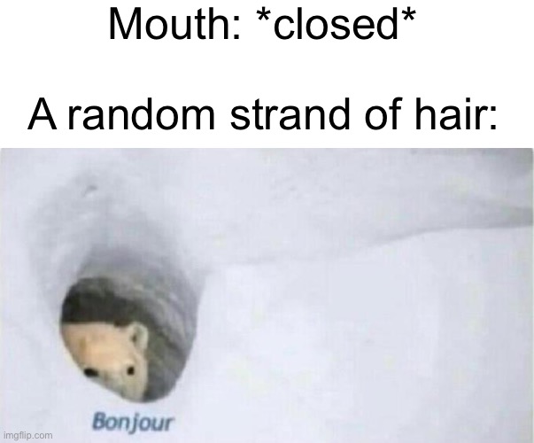 this happens to me alot | Mouth: *closed*; A random strand of hair: | image tagged in bonjour bear,memes,funny | made w/ Imgflip meme maker