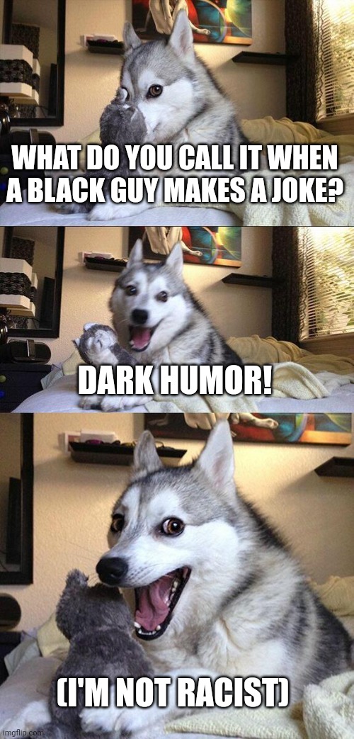 Heha | WHAT DO YOU CALL IT WHEN A BLACK GUY MAKES A JOKE? DARK HUMOR! (I'M NOT RACIST) | image tagged in memes,bad pun dog | made w/ Imgflip meme maker