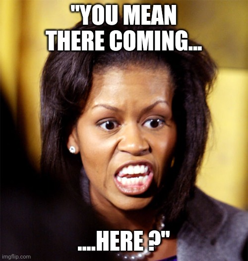 Shit sandwich | "YOU MEAN THERE COMING... ....HERE ?" | image tagged in michelle obama lookalike | made w/ Imgflip meme maker