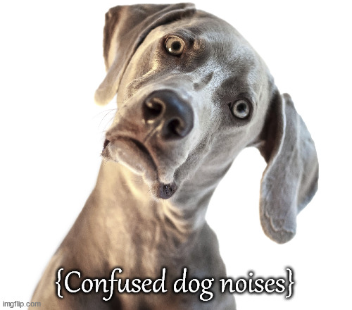 Confused dog Blank Meme Template