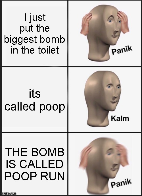 Every plane | I just put the biggest bomb in the toilet; its called poop; THE BOMB IS CALLED POOP RUN | image tagged in memes,panik kalm panik,meme,funny memes,funny,funny meme | made w/ Imgflip meme maker