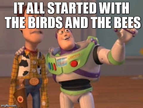 X, X Everywhere Meme | IT ALL STARTED WITH THE BIRDS AND THE BEES | image tagged in memes,x x everywhere | made w/ Imgflip meme maker