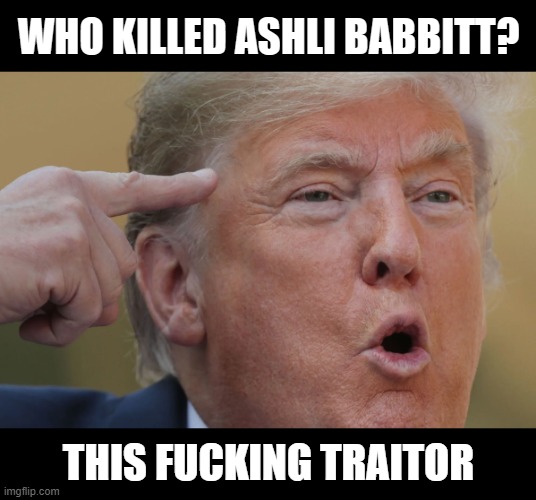 POS TRAITOR leading BRAINWASHED MORONS to THEIR DEATH and IMPRISONMENT. sad | image tagged in donald trump,killed,ashli babbitt,brainwashed,moron,traitor | made w/ Imgflip meme maker
