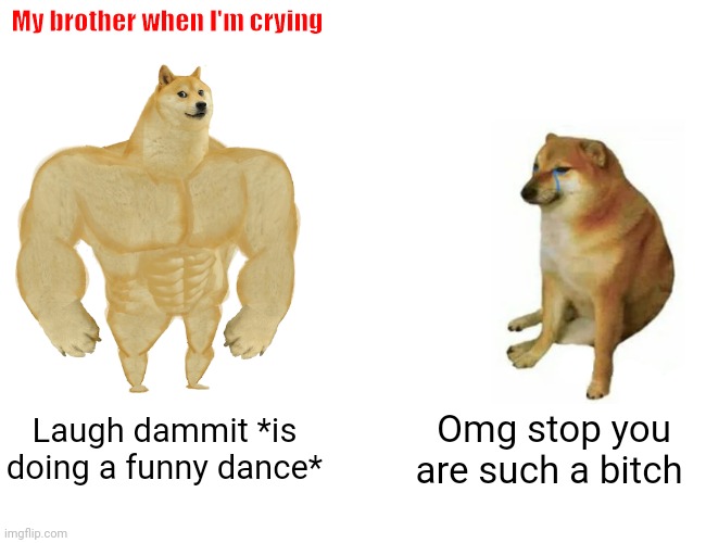 Buff Doge vs. Cheems | My brother when I'm crying; My sister when I'm crying; Laugh dammit *is doing a funny dance*; Omg stop you are such a bitch | image tagged in memes,buff doge vs cheems | made w/ Imgflip meme maker
