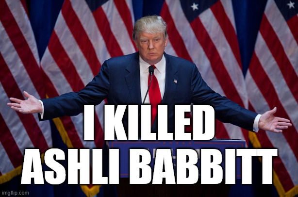 I KILLED ASHLI BABBITT, a brainwashed traitor | I KILLED ASHLI BABBITT | image tagged in donald trump,brainwashed,traitor,idiot,go to hell,forever | made w/ Imgflip meme maker