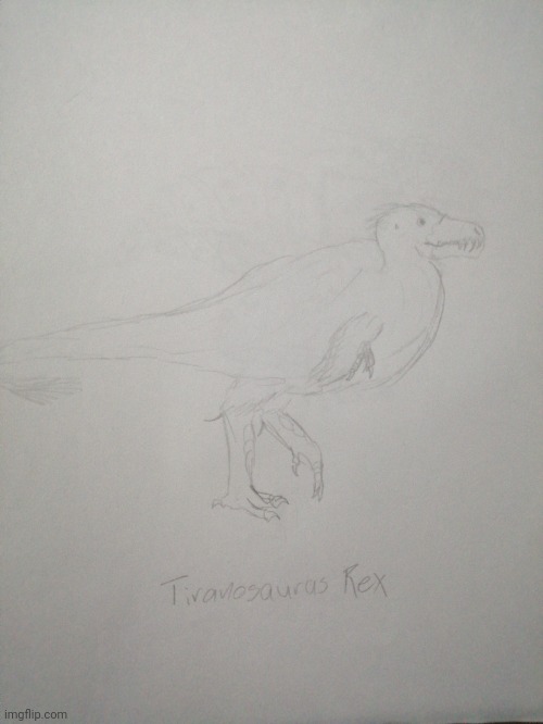 I was bored and decided to make a more scientifically accurate t-rex, although I overdid the back XD | image tagged in drawing,t rex,creatures,evolution,biology | made w/ Imgflip meme maker