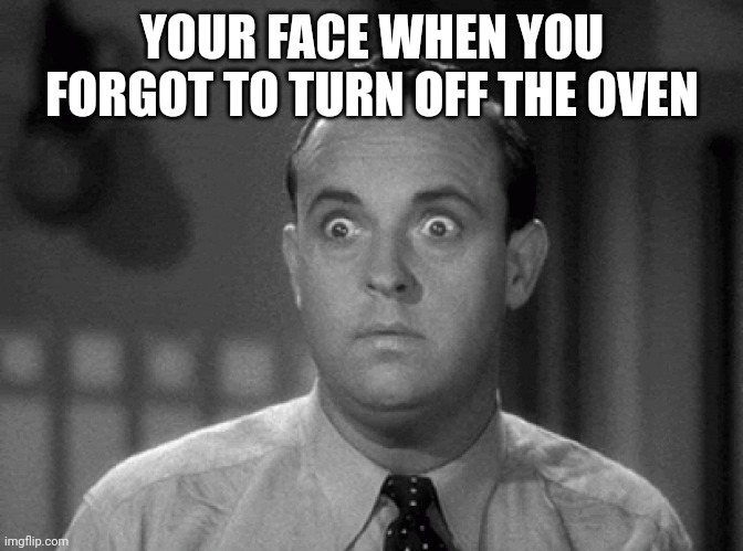 Burning down the house | YOUR FACE WHEN YOU FORGOT TO TURN OFF THE OVEN | image tagged in shocked face | made w/ Imgflip meme maker