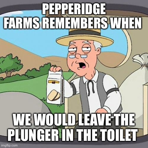 Pepperidge Farm Remembers Meme | PEPPERIDGE FARMS REMEMBERS WHEN WE WOULD LEAVE THE PLUNGER IN THE TOILET | image tagged in memes,pepperidge farm remembers | made w/ Imgflip meme maker