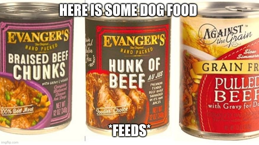 dog food | HERE IS SOME DOG FOOD *FEEDS* | image tagged in dog food | made w/ Imgflip meme maker