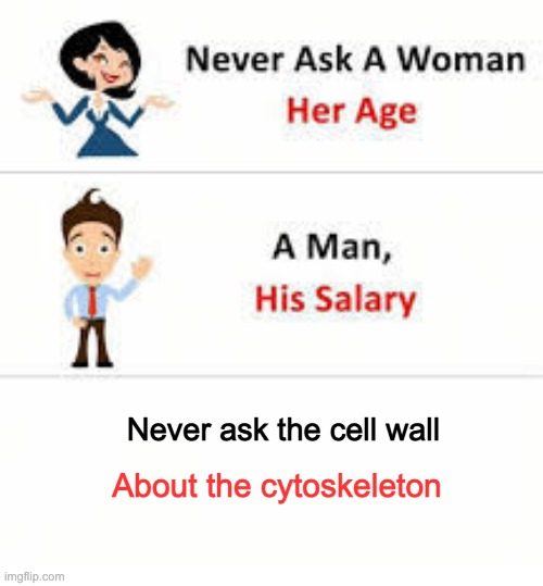 Never ask a woman her age | Never ask the cell wall; About the cytoskeleton | image tagged in never ask a woman her age | made w/ Imgflip meme maker