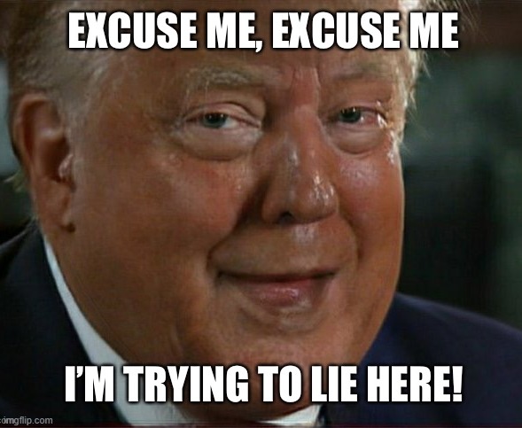 EXCUSE ME!! HEY, HEY! | image tagged in excuse me,no excuses,lying,liar,lies,psycho | made w/ Imgflip meme maker