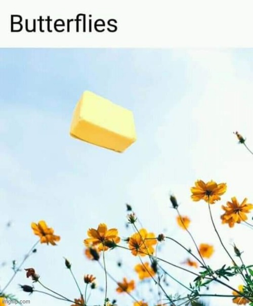 image tagged in puns | made w/ Imgflip meme maker