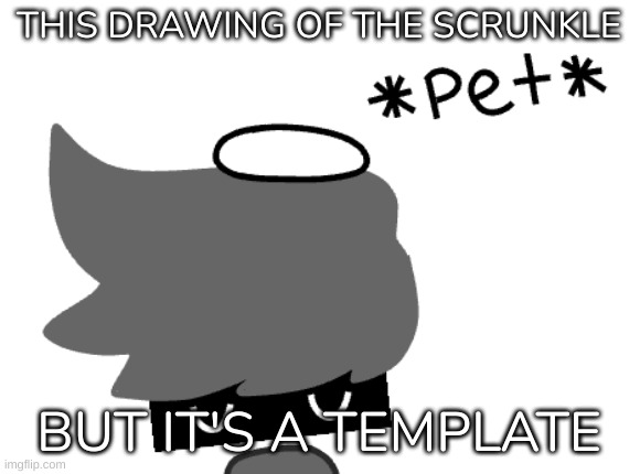 Shadow Rien | THIS DRAWING OF THE SCRUNKLE BUT IT'S A TEMPLATE | image tagged in shadow rien | made w/ Imgflip meme maker