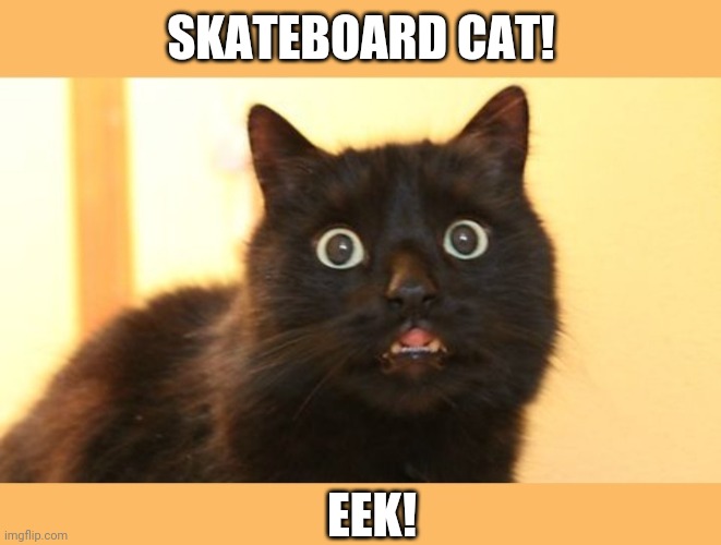 SKATEBOARD CAT! EEK! | made w/ Imgflip meme maker