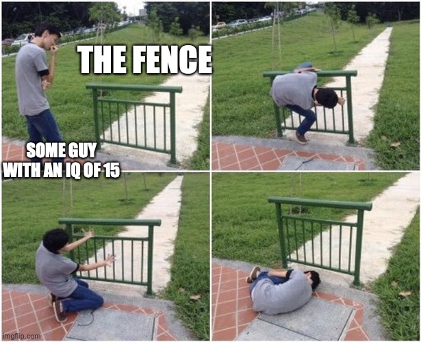 Boy Small Fence Fail | SOME GUY WITH AN IQ OF 15 THE FENCE | image tagged in boy small fence fail | made w/ Imgflip meme maker