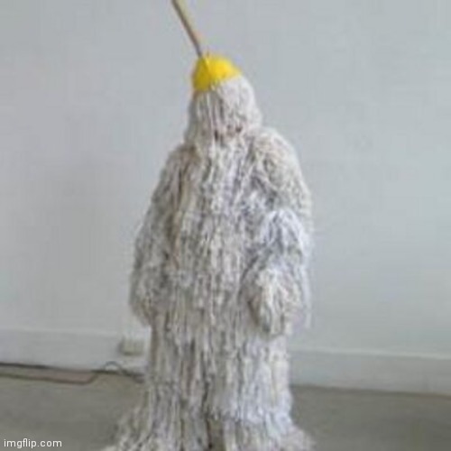 MopMan | image tagged in mopman | made w/ Imgflip meme maker